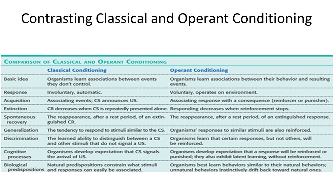 Understanding the classical conditioning and operant conditioning